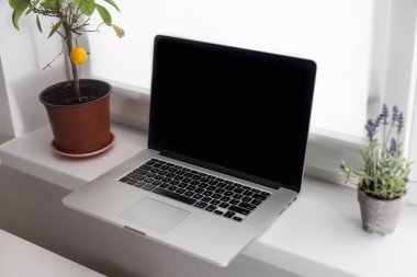 Ofisteki masada dizüstü bilgisayar..