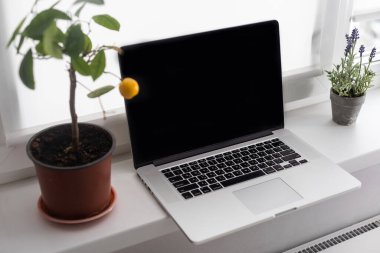 Masa maketinde boş ekran olan dizüstü bilgisayar kopyalama alanı. Çevrimiçi mağaza, blog, sosyal medya, mağaza markalaşması.