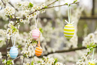 Paskalya dekoratif kompozisyonu boyalı yumurtalar, çiçekli dallar