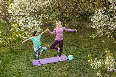 Anne ve kızı açık havada yoga, sağlıklı yaşam yapıyor
