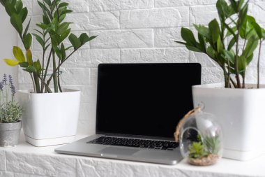 Yeşil santralleri ve boho iç dekorasyonu olan modern moda ofis işyeri. Ekran dizüstü bilgisayarı ile natürmort.