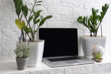 Beyaz masadaki açık dizüstü bilgisayarın yakın çekimi. Yakınlarda bir bilgisayar var. ev bitkileri. Boş işyeri