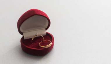 iki altın beyaz izole Alyans, alyans kavramı arka plan