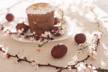 Renkli yumurtalar, renkli paskalya yumurtaları ve çiçek açan dallarla Paskalya arkaplanı. Paskalya kompozisyonu. Paskalya pastası.