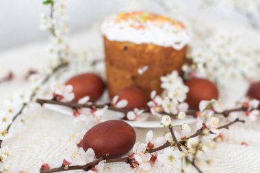 Geleneksel Paskalya pastaları ve renkli yumurtalar. Bir dal ağacı.