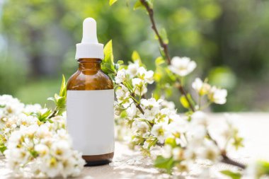 Beyaz, boş bir kozmetik tüp şişesi ve çiçek, pembe arka planda çiçek açan bir dal. Doğal Organik Spa Güzellik Konsepti. Model Ön Görünüm