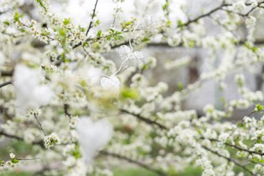 Çiçek açan ağaçların üzerinde bir kalp. Sevgililer Günü Konsepti, Bahar, Yazı Mekanı