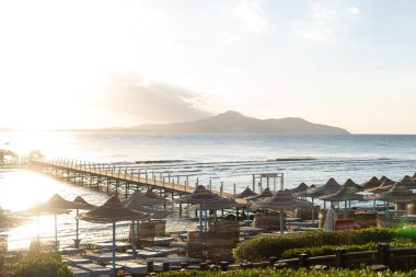 Mavi gökyüzü karşı Mısır'daki palmiye ağaçları.