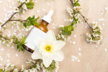 Boş beyaz kozmetik tüpü ve pastel arka planda beyaz çiçekli bahar çiçekli ağaç dalı. Ön görünüm.