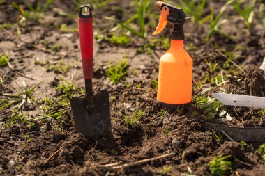 Sebze bahçesindeki çiftçi, bahçe aletleri..