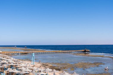 Plajda gün batımında palmiye ağaçları, şemsiyeler ve güneş yatakları. Aile Tatilleri Denizde