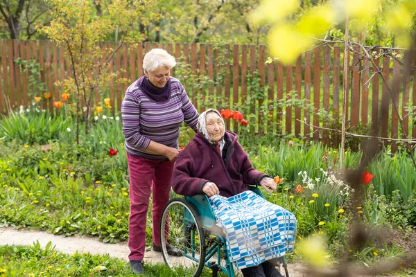 Disabled senior woman and nurse in park.