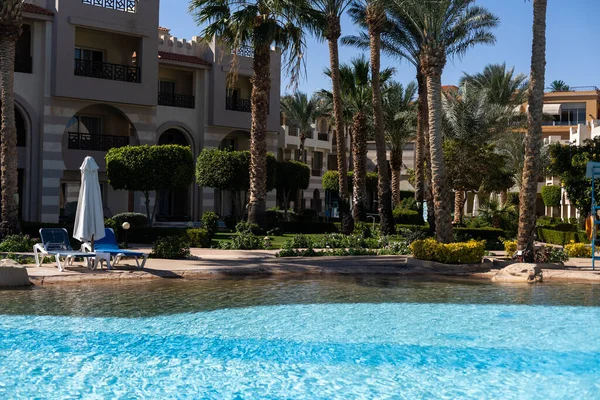 Temiz suyu olan bir yüzme havuzu, hiç kimse. Kare şeklinde bir havuz, mavi fayanslar, çekmeceler ve güvertelerde güneşlik, insan yok. Su yüzeyi. Genel bakış. Yaz arkaplanı