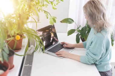 Koltukta oturan ve ayaklarını pencere kenarına koyan bir kadın kendini tecrit sırasında dizüstü bilgisayarda çalışıyor, yakınlardaki kedi ilgi istiyor ve okşanmak istiyor. Evden iş..