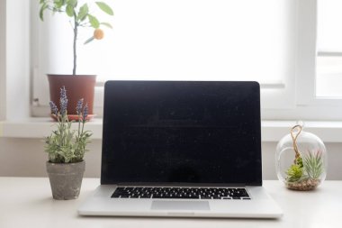 Çalışma alanı tablonun üstünde laptop ile.