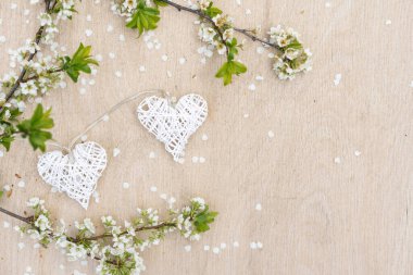 Çiçek açan ağaçların üzerinde bir kalp. Sevgililer Günü Konsepti, Bahar, Yazı Mekanı