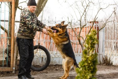 Alman çoban köpeğini eğiten bir adam..