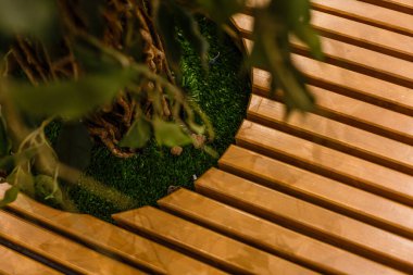 round bench with a tree in the middle