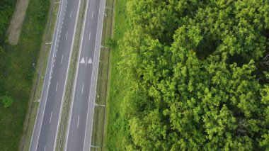 Güneşli bir yaz gününde ormanı geçen yol. Hava manzaralı. Tarlaya giden yol.