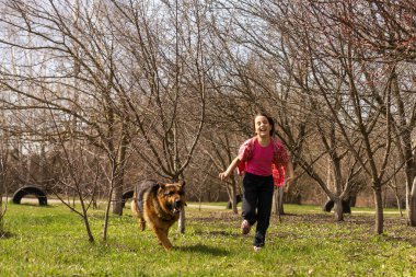 Küçük kız parkta bir çobanla hızlı koşuyor..