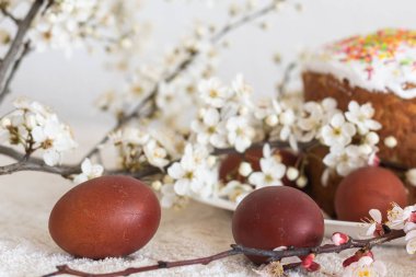 Paskalya kompozisyonu. Çiçekli bir kayısı dalı, boyanmış yumurtalar ve şeker parçacıklarıyla süslenmiş paskalya pastası..