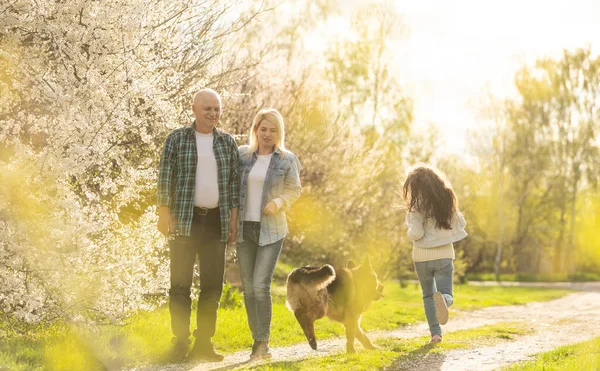 Güneşli bir günde parkta aile bahçıvanlığı..