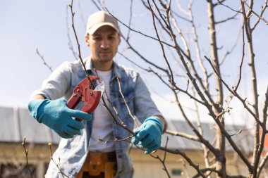 genç adam budama şube portresi.