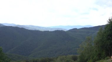 Dağ sırasındaki yeşil ağaç ormanı. Tepelerin ve çayırların üzerinde sabah sisi. Doğa geçmişi. Seyahat yerleri. Güzel vahşi manzara. Yaz tatili turizmi.