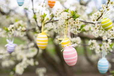 Paskalya dekoratif kompozisyonu boyalı yumurtalar, çiçekli dallar