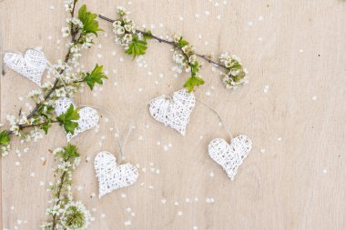 Eller kalbe dokunur beyaz çiçeklerle açan bir elma dalına. Elma çiçeği. Aşk doğası.