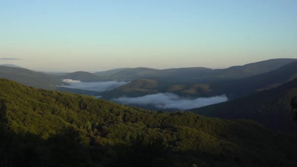 Green Tree Forest Mountain Range Morning Mist Hills Meadows Nature — Vídeo de stock