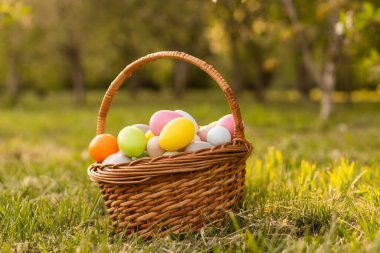 Paskalya yumurtalarını çimlerin üzerinde sepete koydum. Geleneksel güneş ışığı dekorasyonu.