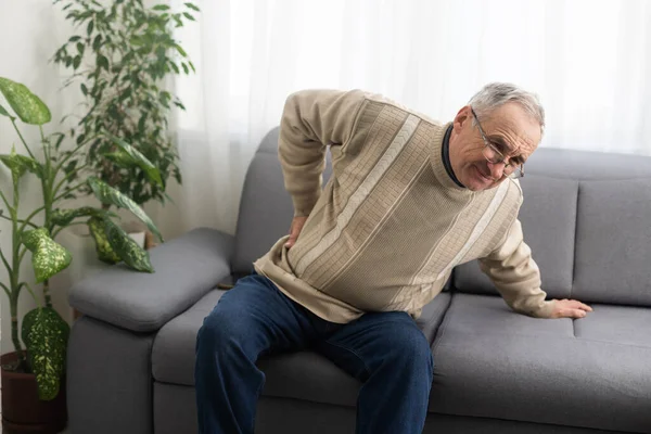 Caucasian old senior elderly unhealthy sickness grey male grandpa near sofa at home alone holding hands on back having emergency painful muscle and backache injury problem