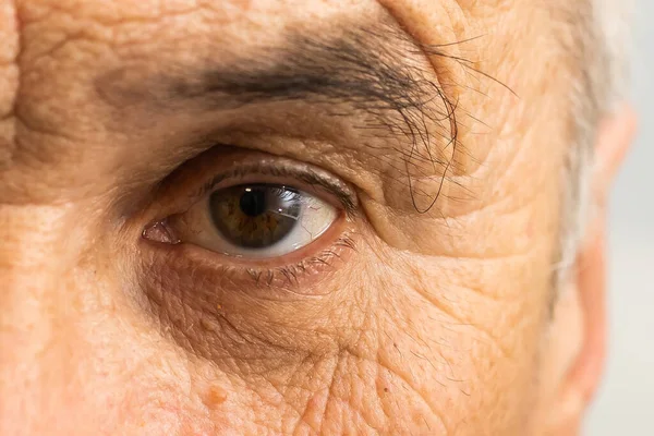senior old man eyes close-up macro shot.