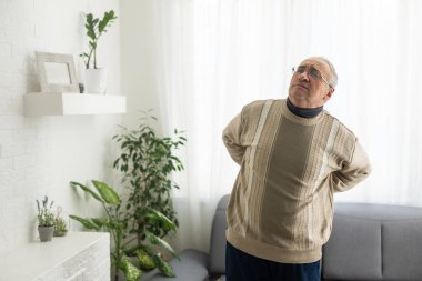 Caucasian old senior elderly unhealthy sickness grey male grandpa near sofa at home alone holding hands on back having emergency painful muscle and backache injury problem