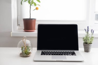 Masa maketinde boş ekran olan dizüstü bilgisayar kopyalama alanı. Çevrimiçi mağaza, blog, sosyal medya, mağaza markalaşması.