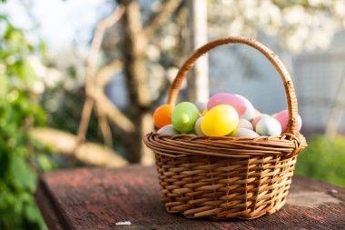 Paskalya yumurtalarını çimlerin üzerinde sepete koydum. Geleneksel güneş ışığı dekorasyonu.