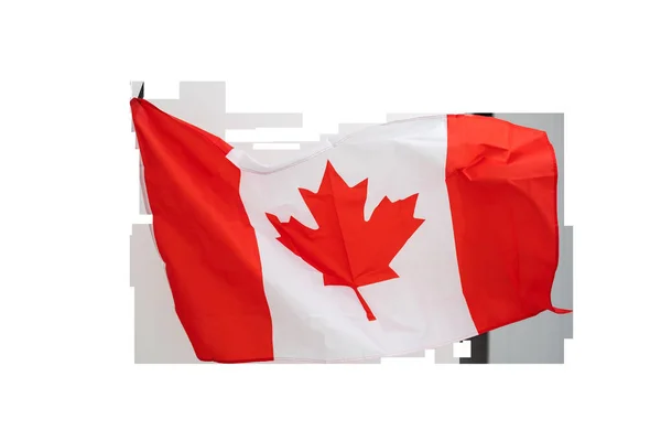 Canada Bandiera Sventola Sfondo Bianco — Foto Stock