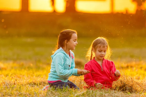 两个小女孩在田野里散步 — 图库照片