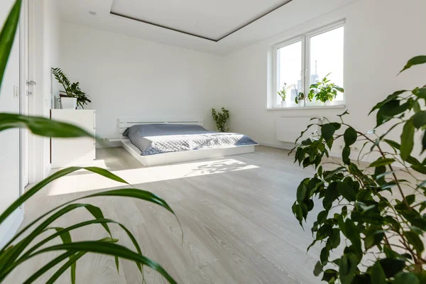 Single Wooden Bed Blanket Next Stylish Wooden Cabinet Elegant Bedroom — Photo