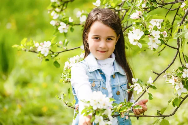 Menina Bonita Floração Árvores Maçã Cabelo Comprido — Fotografia de Stock