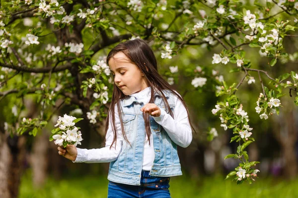 Портрет Усміхненої Дівчинки Біля Квітучого Дерева Білими Квітами — стокове фото