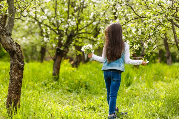 Чарівна Дівчинка Квітучому Вишневому Саду Красивий Весняний День — стокове фото