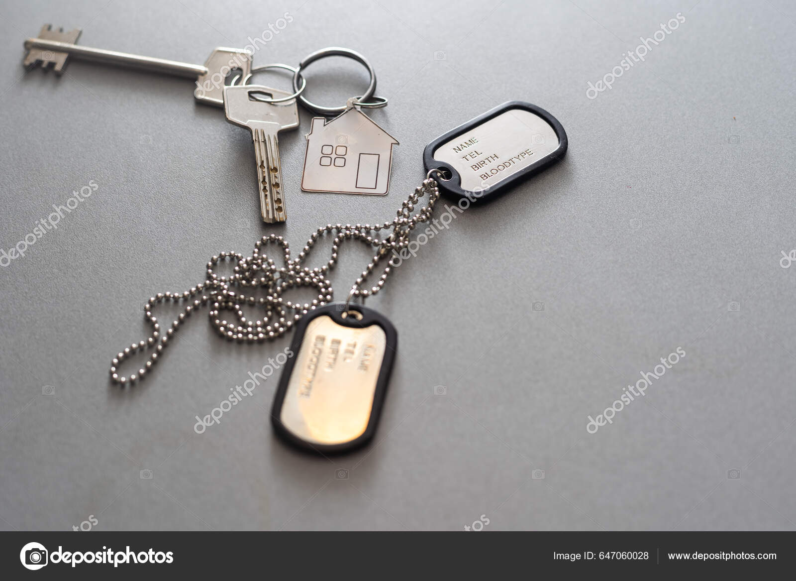 Military Dog Tags Isolated On White Background Stock Photo