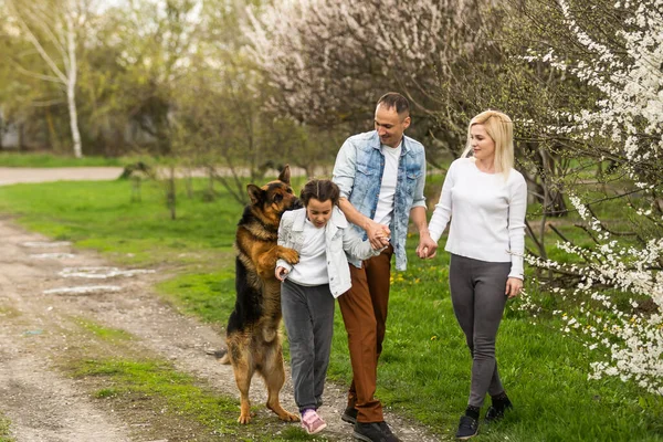 Smiling Father, Mother, daughter and Pet Dog Play. Sun Shines on Idyllic Happy Family with Dog have Fun at the Backyard.