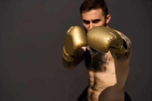 保護手袋を着用する若い裸のボクサー — ストック写真