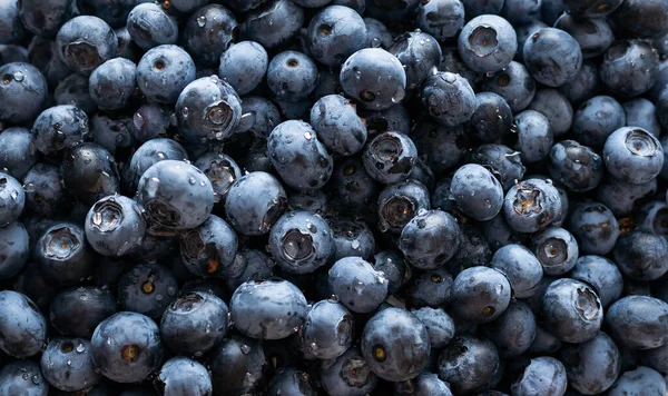 Blueberry Fresh Bilberries Close Background — стоковое фото