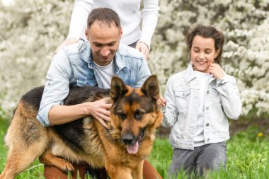 Küçük kızları ve köpekleri olan bir aile baharda meyve bahçesinde yürüyorlar..