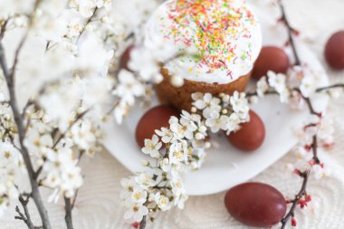 Geleneksel Paskalya pastaları ve renkli yumurtalar. Bir dal ağacı.