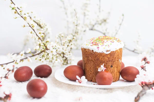 Velikonoční Kompozice Kvetoucí Meruňková Větev Malovaná Vajíčka Glazovaný Velikonoční Dort — Stock fotografie